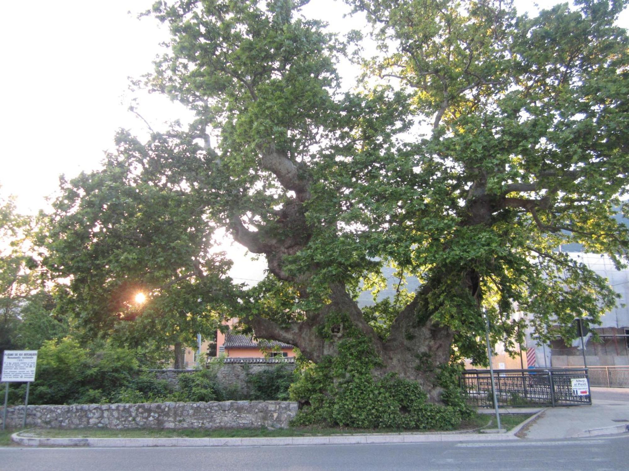 Albergo Al Platano Caprino Veronese Extérieur photo